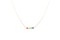 The 7 Chakras Necklace